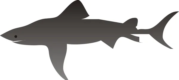 Illustrazione vettoriale squalo Vettoriali Stock Royalty Free