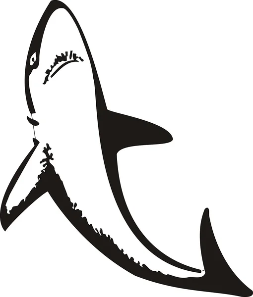 Ilustración de vectores de tiburón Vectores de stock libres de derechos