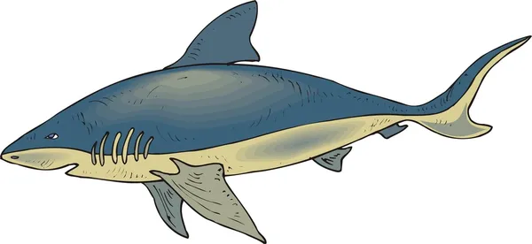 Ilustracja wektorowa rekin Grafika Wektorowa