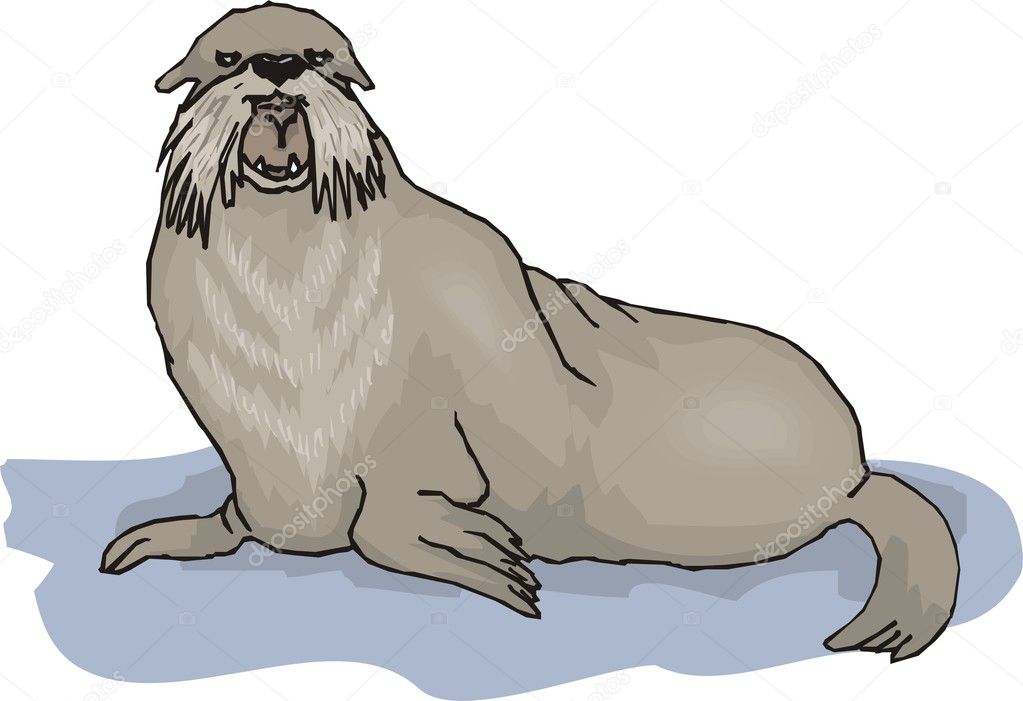 Vector illustration of a seal.