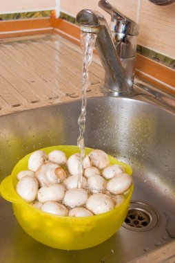 Mushrooms in a plate clipart