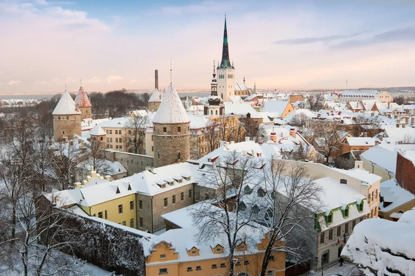 Eski bir şehir. Tallinn, Estonya — Stok fotoğraf
