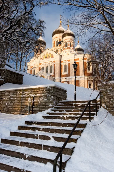 Cattedrale di Alexander Nevsky. Tallinn — Foto Stock