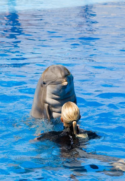 Плавання з Дельфін — стокове фото