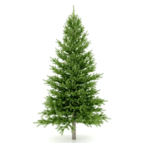 A árvore de Natal pronta para decorar — Fotografia de Stock