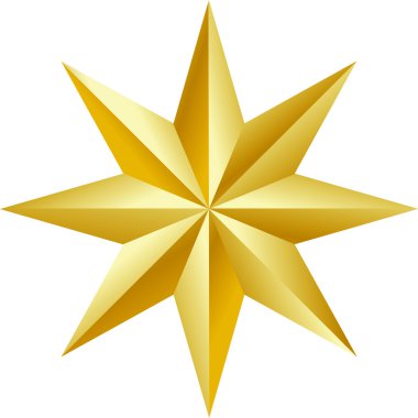 Beautiful golden star Vector