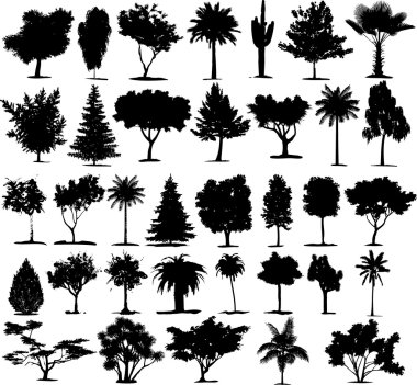 Perfect transparent tree vectors clipart