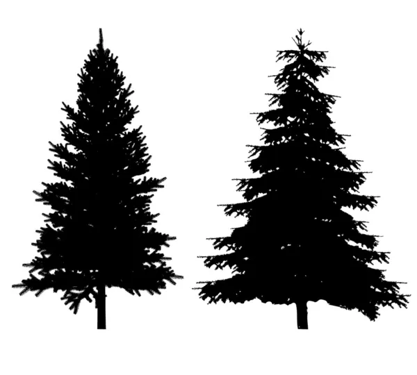 Vecteurs d'arbres transparents parfaits — Image vectorielle
