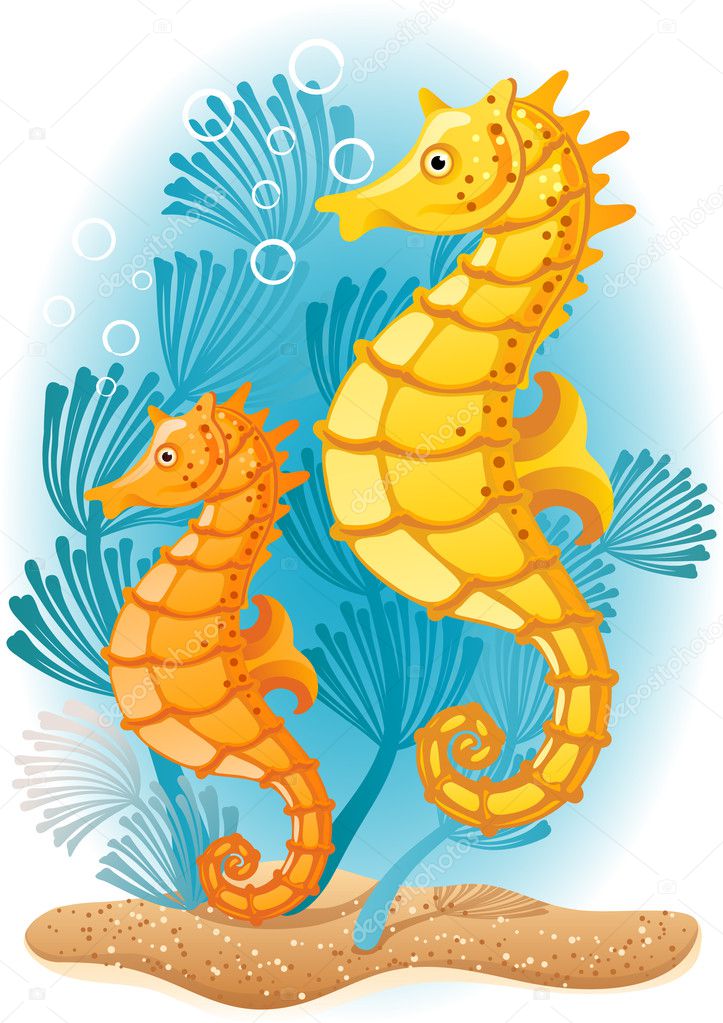 Vector illustration - Two seahorses on the seabed | Seahorse art, Vector  illustration, Seahorse image