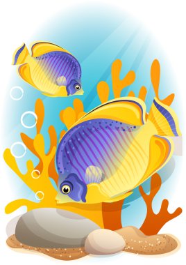 Angelfish clipart