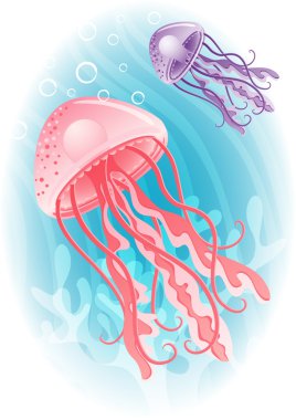 Jellyfish clipart