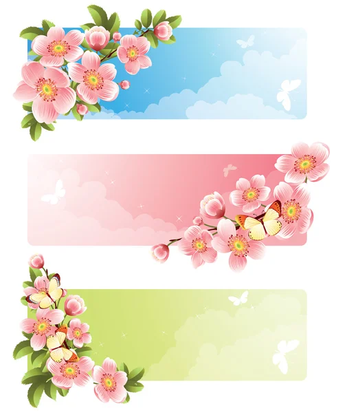 Flower banner — Stock Vector