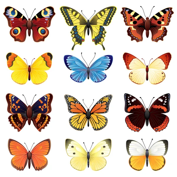Conjunto mariposa — Vector de stock