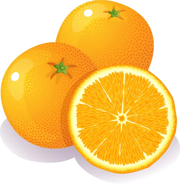 Oranges — Stock Vector