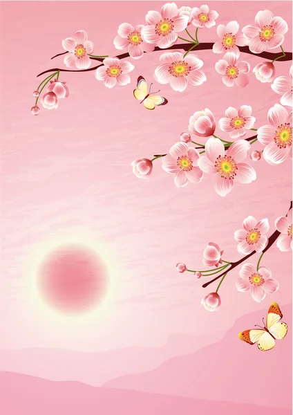 Sakura. —  Vetores de Stock