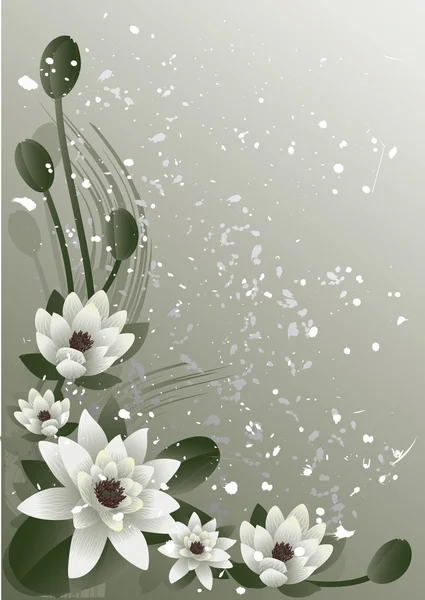 Lotus en fleurs — Image vectorielle