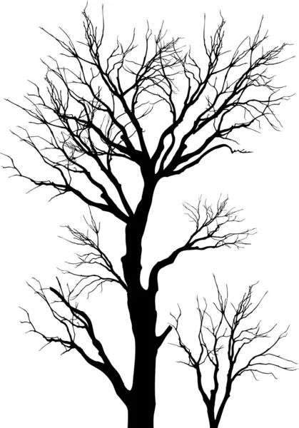 Bäume — Stockvektor