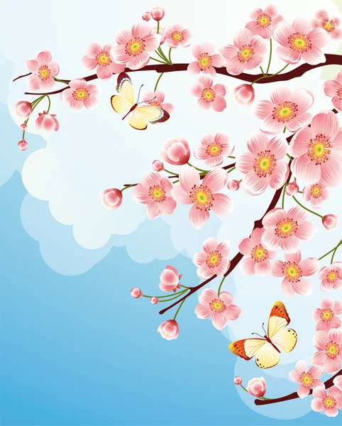 Sakura — Image vectorielle