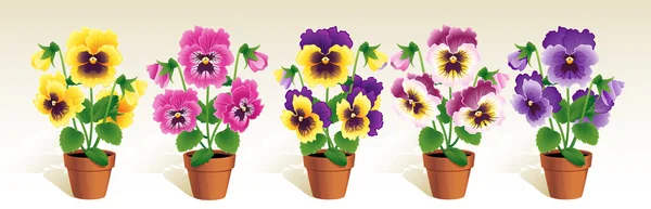 Pansies Royalty Free Stock Illustrations