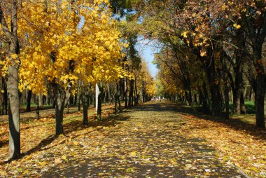 Sonbahar Şehir Parkı