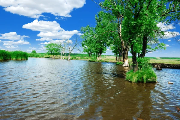 Сельская река — стоковое фото