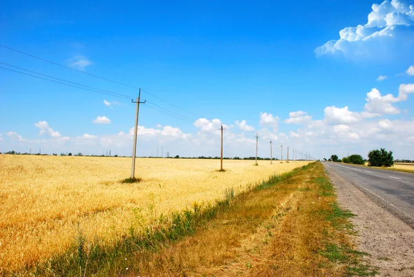Campo de trigo y fondo de la carretera — Foto de Stock