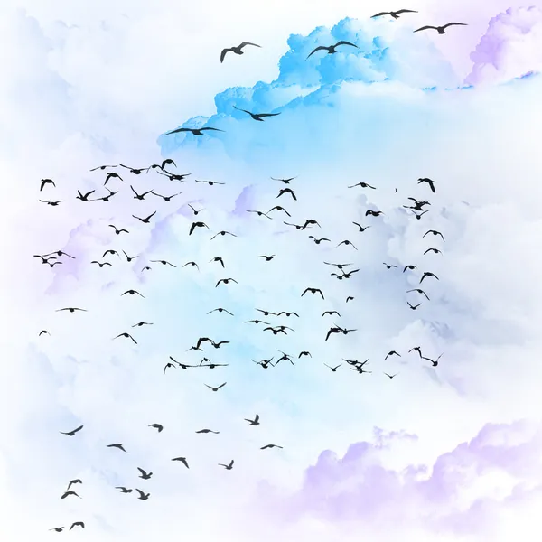 Летающие птицы в небесной текстуре Стоковая Картинка