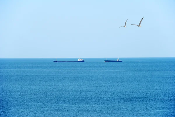 Ships go to sea — Stock Photo, Image