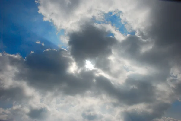 曇りの青い空と木漏れ日 — ストック写真