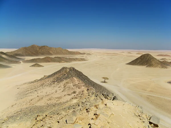 stock image Desert landscape