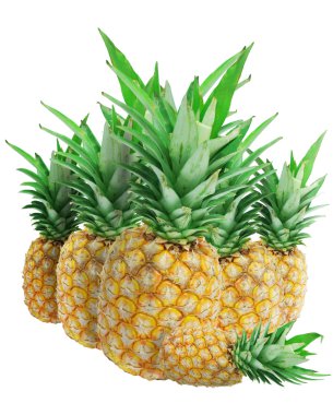 taze ananas