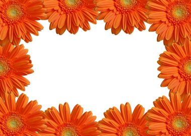 Isolated orange gerbers frame xxl clipart