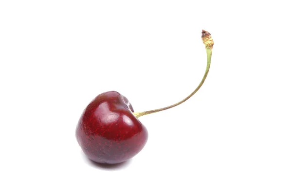Изолированная красная вишня — стоковое фото