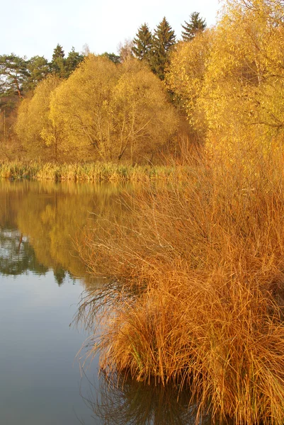 stock image Autumn riverside landscape