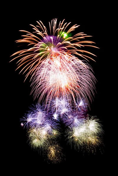 Stock image Firework