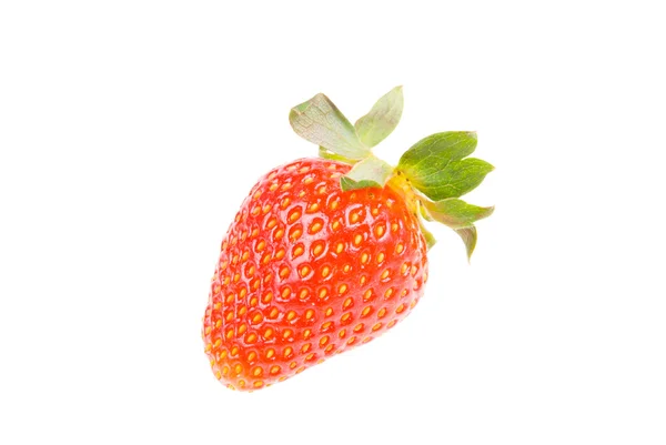 Isolated fresh juicy strawberry — Stock Photo, Image