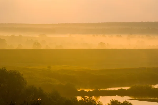 Golden foggy morning — Stock Photo, Image
