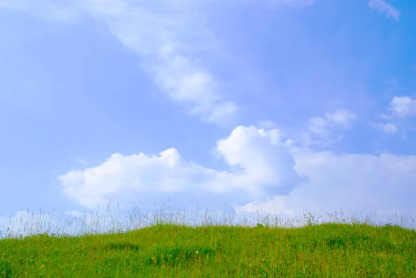 Зеленая трава и голубое небо с облаками — стоковое фото