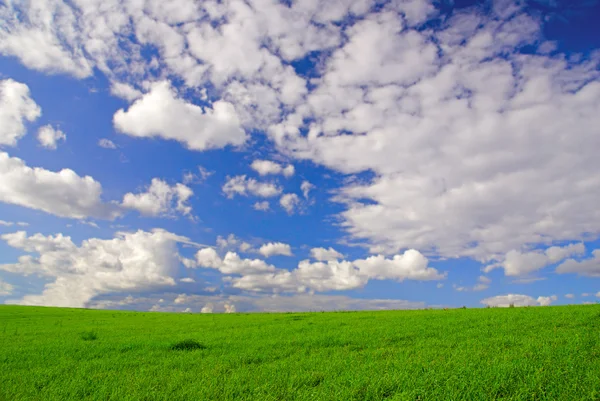 Пейзаж з травою і хмарне небо — стокове фото