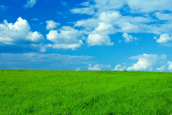 Пейзаж с травой и облачным небом — стоковое фото