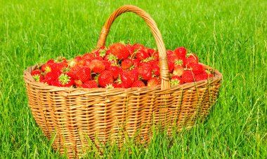 Berries in a basket clipart