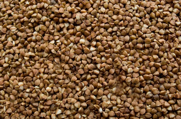 stock image Buckwheat background