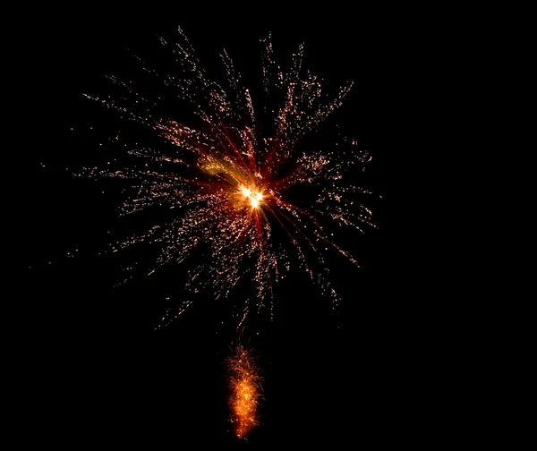 Stock image Firework