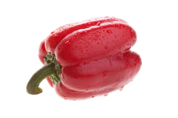 Peper in hand — Stock Photo, Image