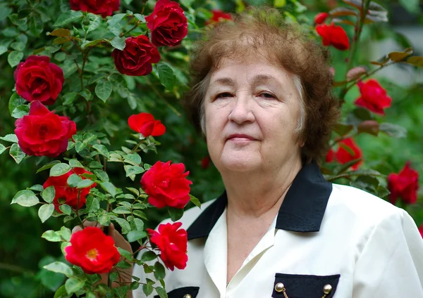Mulher velha em um arbusto de rosas — Fotografia de Stock