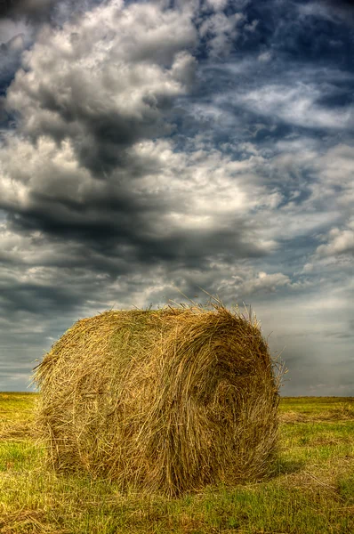 Haystack sur le terrain — Photo