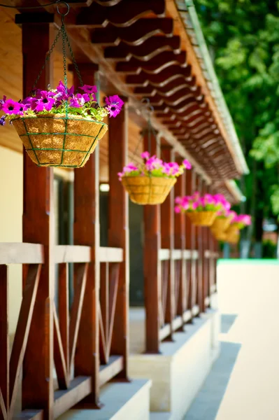 Porch with flower pots — Stock Photo, Image