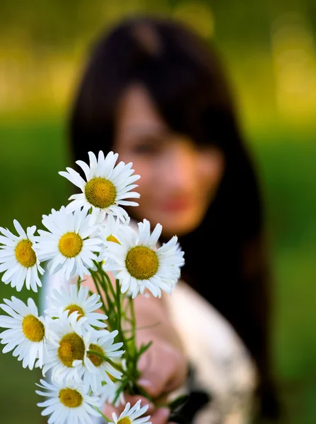 Dívka roztáhne kytice camomiles — Stock fotografie