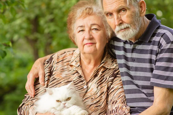 Ηλικιωμένο ζευγάρι με την Περσική γάτα — Φωτογραφία Αρχείου
