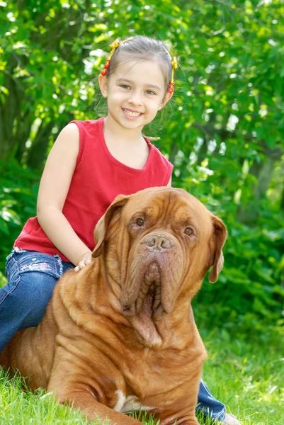 Flickan och mastiff — Stockfoto